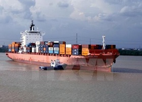 Vận chuyển container đường biển của Việt Nam đang có tiềm năng lớn